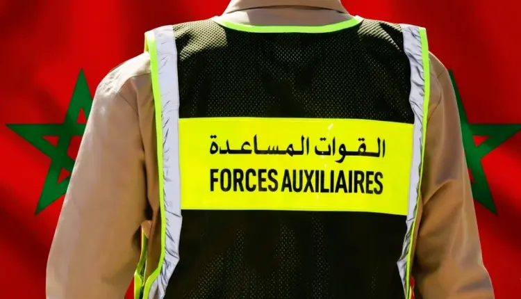 فتح باب الترشيح لضباط القوات المساعدة